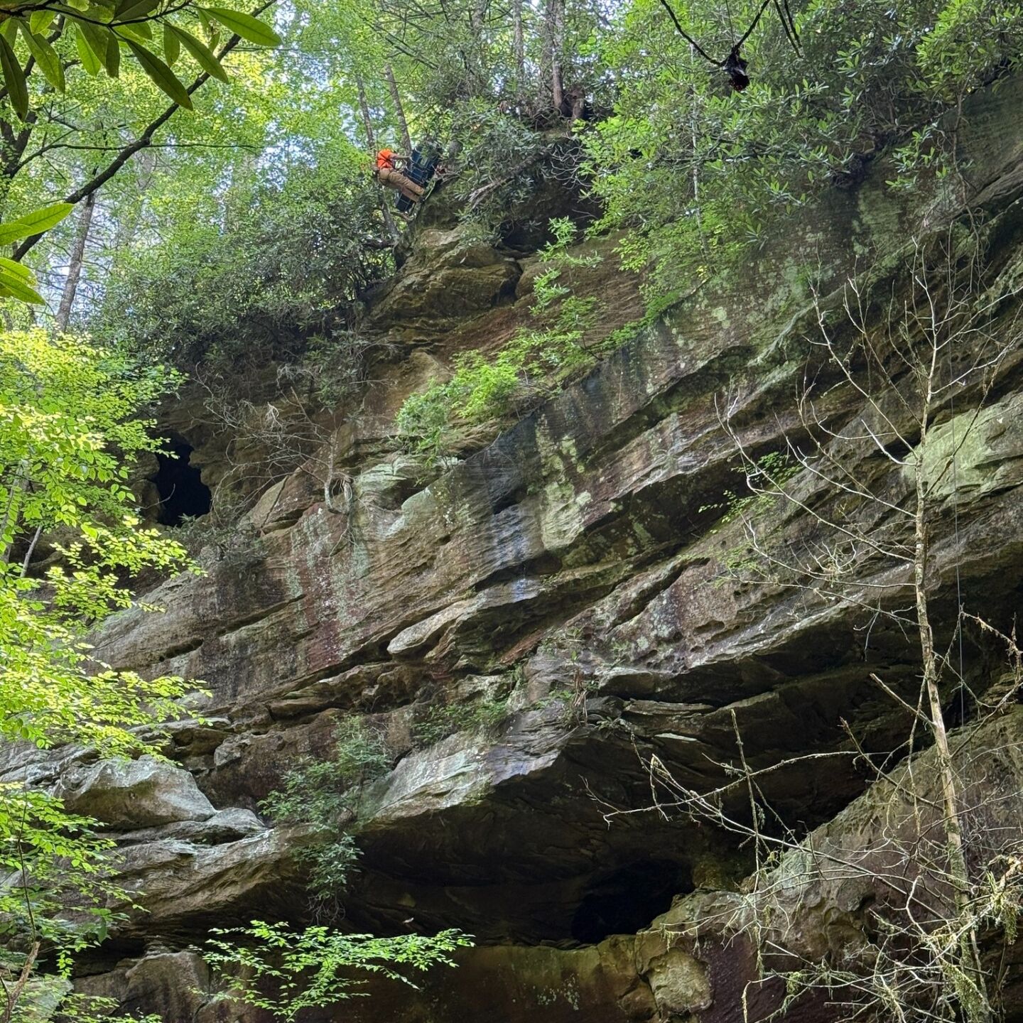 WOLFE CO. CLIFF RESCUE 3 - 7.21.25